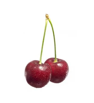 Pair of cherries with drops on it, isolated on white Stock Photos
