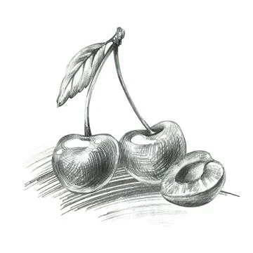 Pair of cherries with leaf and one cut in half showing pit, hand drawn line art Ilustração Stock