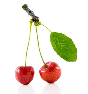 A pair of cherries with a leaf Stock Photos