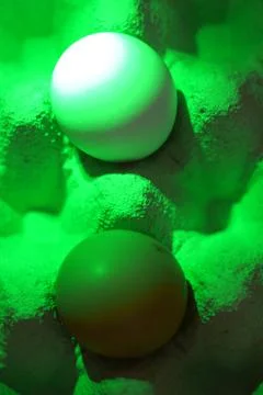 Pair of clear and dark eggs Stock Photos