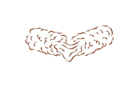 A Pair Of Crispy Fried Or Barbecue Chicken Wings Snack Vector Illustration Ilustração Stock