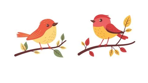 A Pair of Cute Orange Robin Bird Animal Perched on Tree Branch Illustrazione stock