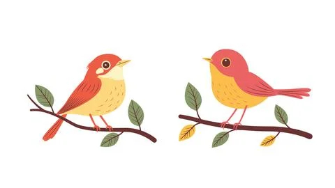 A Pair of Cute Orange Robin Bird Animal Perched on Tree Branch Illustrazione stock
