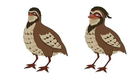 Pair of cute quails standing side by side brown feathers with detailed Ilustração Stock