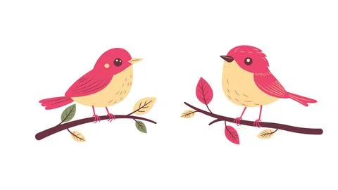 A Pair of Cute Red Robin Bird Animal Perched on Tree Branch Illustrazione stock