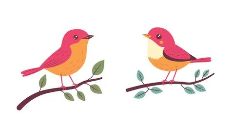 A Pair of Cute Red Robin Bird Animal Perched on Tree Branch 스톡 일러스트