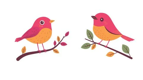 A Pair of Cute Red Robin Bird Animal Perched on Tree Branch Illustrazione stock