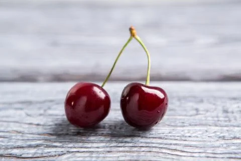 Pair of dark red cherries. Stock Photos