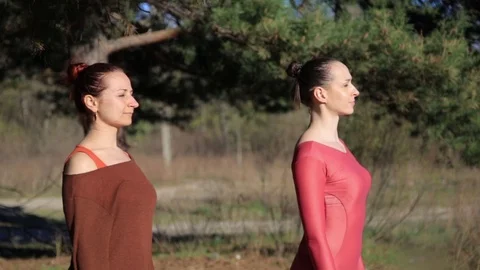 Pair doing yoga fitness exercise warrior pose in the forest at sunset Stock Footage
