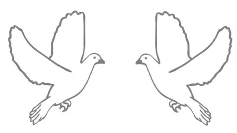 A Pair of Doves Stock Illustration
