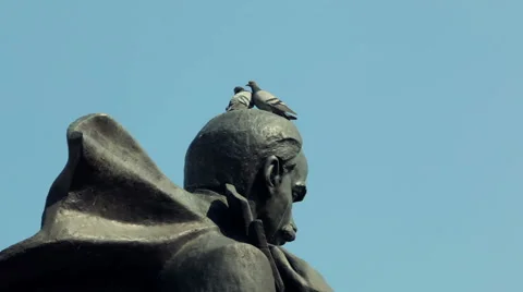 Pair of doves sitting on Shevchenko monument Stock Footage 49548418