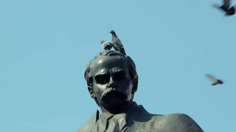Pair of doves sitting on Shevchenko monument Stock Footage 49548475