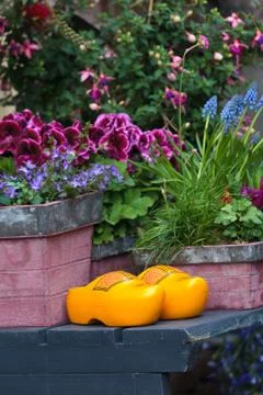 Pair of dutch yellow clogs surrounded by garden plants Stock Photos
