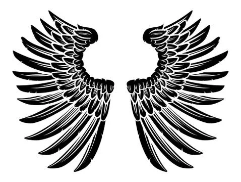 Eagle Wings Illustrations ~ Stock Eagle Wings Vectors | Pond5