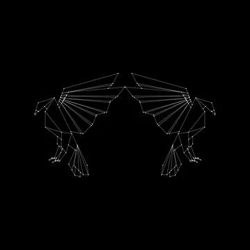 Pair Eagle Polygonal Lines Ilustração Stock