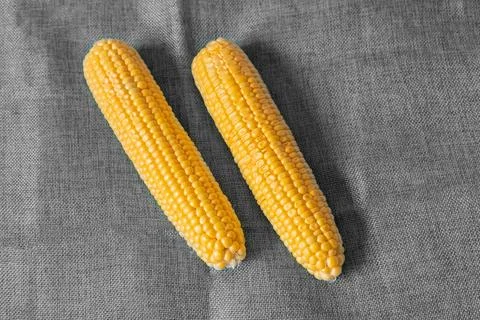 Pair of ear of corn young and yellow on gray background Stock Photos