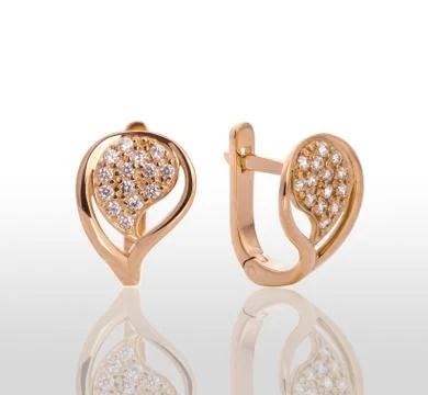 Pair of earrings. Stock Photos