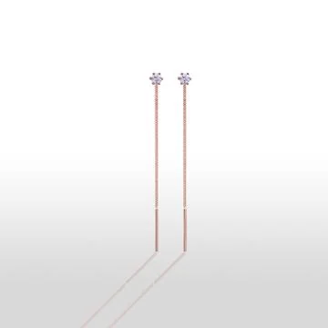 Pair of earrings Stock Photos