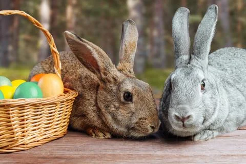 Pair of Easter rabbits Stock Photos
