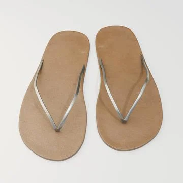 Pair of elegant minimalist flip flops with tan soles and silver straps on a.. Stock Illustration