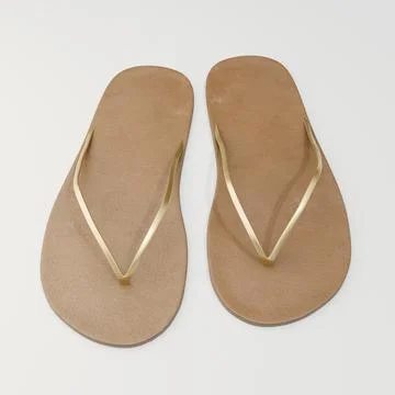 Pair of elegant minimalist flip flops with tan soles and golden straps on a.. Stock Illustration