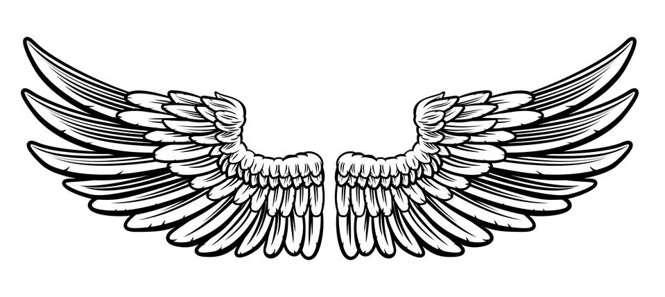 Pair of Etched Wings Illustrazione stock