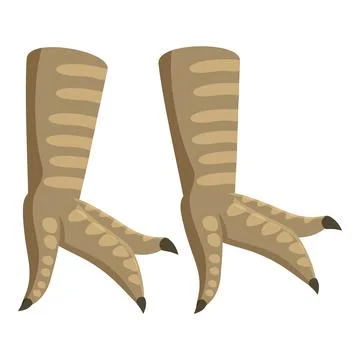 Pair of falcon legs showing sharp claws and striped feathers Ilustração Stock