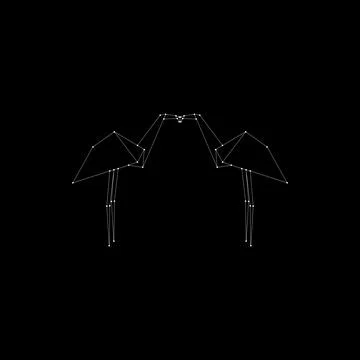 Pair Flamingo Polygonal Lines Ilustração Stock