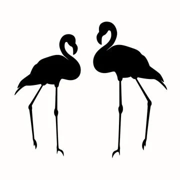 Pair flamingos black silhouette isolated on white background Stock Illustration