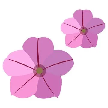 Pair of flowers Ilustração Stock