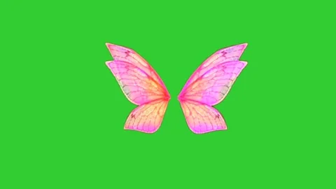 Pair of fluffy fairy wings isolated on  green screen pack Stock Footage