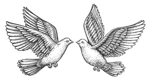 Dove Fine Line Bird Drawing, Printable Flying Pigeon for Sticker, Stencil,  Logo, Tattoo, Decor, DIY, Cricut, Engraving - Etsy