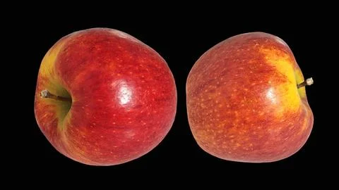 Pair of fresh red apples isolated on black background. 스톡 사진