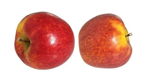 Pair of fresh red apples isolated on white background. 스톡 사진