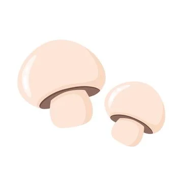 Pair of fresh young champignons isolated on white background Stock Illustration