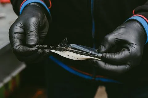 Pair of gloved hands in a workshop opening a radial tire patch Stock Photos