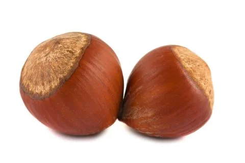 Pair of hazelnuts Stock Photos