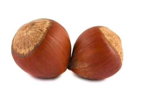 Pair of hazelnuts Two ripe brown hazelnuts isolated on white background Co... Stock Photos