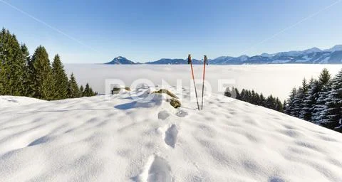 Pair of hiking sticks in snow. Sporting activity in mountains winter landscape Stock Photos