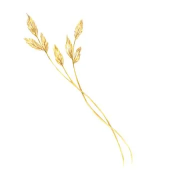 Pair of intertwined field grass stalks with delicate heads. This botanical Ilustração Stock