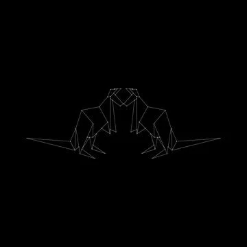 Pair Kangaroo Polygonal Lines Stock Illustration