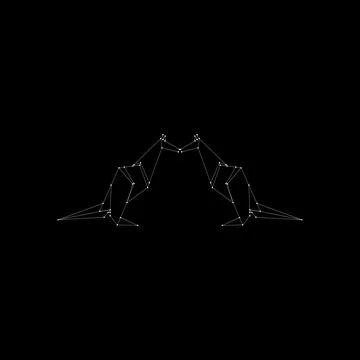 Pair Kangaroo Polygonal Lines Stock Illustration