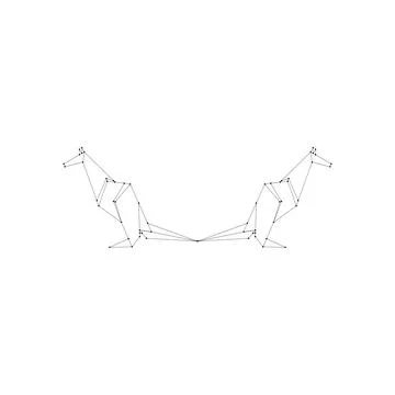 Pair Kangaroo Polygonal Lines Stock Illustration