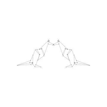 Pair Kangaroo Polygonal Lines Stock Illustration