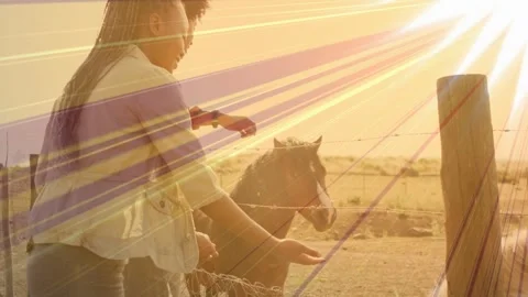 Pair leaning over fence, reaching, petting horses, bonding as purple flare Vídeo Stock 335282787