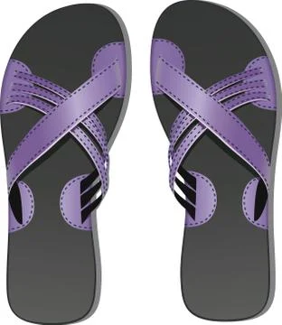 Pair of leather flip flops Stock Illustration