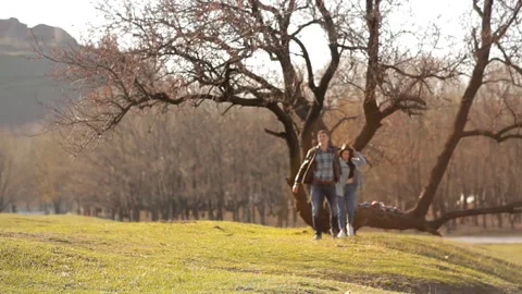 A pair of lovers are walking on a green lawn in the park 스톡 동영상 89977943