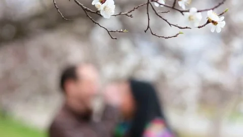 A pair of lovers hugging in a blooming garden Stock Footage 77733560