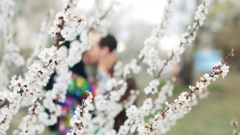 A pair of lovers hugging in a blooming garden Stock Footage 77734024