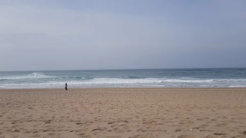 A pair of lovers walking along the ocean 動画素材 103202641